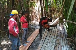 Razia Kebakaran, Polisi Temukan Perambahan Kayu Hutan di Riau