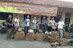 Polisi Gerebek Lokasi Judi Sabung Ayam di Pati