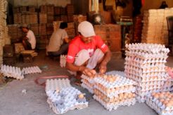 Harga Telur dan Gula di Daerah Ini Mulai Merangkak Naik