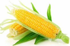 Ini Manfaat Jagung Bagi Kesehatan Tubuh