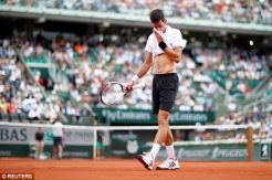 Through Epic Battles, Djokovic Surrenders in French Open