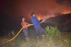 Si Jago Merah Hanguskan 4 Hektare Kebun Warga PALI
