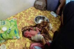 Angkut Buah Sawit, Warga Dikagetkan Tangisan Bayi Dalam Tas