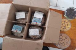 Pengiriman 500 Alat Pemicu Bom ke Kalbar Digagalkan