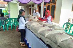 DPD dan Sayap Perindo...
