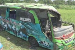 Bus Restu Terguling Masuk Sawah, 1 Penumpang Tewas dan 49 Luka-Luka