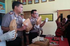 26 Kg Paket Ganja Tak Bertuan Ditemukan di Bandara Sultan Thaha
