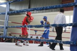 Tiga Petinju Sulsel Akan Ikuti Kejurnas Kapolri Cup