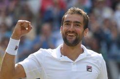 Ketemu Federer, Cilic Ibaratkan Mendaki Gunung
