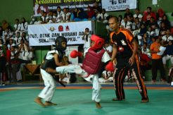 210 Atlet Berlaga di Kejurda Tarung Derajat