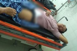 Tauke Sawit Terkapar...