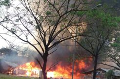 Bedeng di Belakang Mall Aeon Ludes Dilalap si Jago Merah