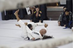 Legenda MMA: Petarung...