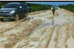 Jalan Trans Kalteng-Kalbar...