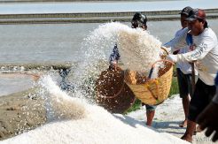 Salt Price Soar, Farmers Hope Government Not Do This