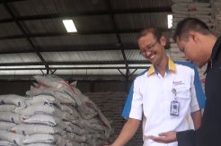 Basmi Kutu yang Menyerang Beras, Bulog Lakukan Fumigasi