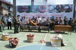 BKSDA Musnahkan Kulit dan Taksidermi Harimau Sumatera