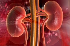 Peritoneal Dialisis Bantu Anak Penderita Sakit Ginjal Jalani Hidup