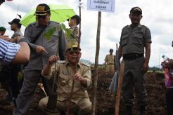 Atasi Efek Rumah Kaca, Gubernur Kalbar Cornelis Tanam Kemiri Sunan