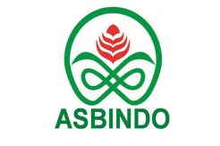 Asbindo Minta Pemerintah Kaji Ulang PPN 10%