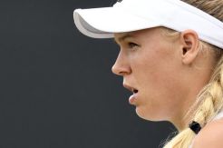 Wozniacki Telah Melakukan yang Terbaik Selama di Bastad