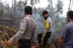 20 Hektare Lahan di Meranti Riau Musnah Terbakar