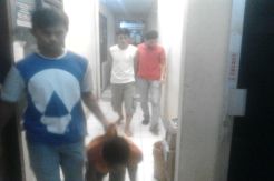 Bajing Loncat Ini Ditembak karena Meresahkan Warga