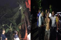 2 Hari di Atas Pohon Kelapa Pemuda Ini Akhirnya Dipaksa Turun
