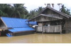 Banjir Setinggi 2 Meter Rendam Ratusan Rumah di Tanah Laut