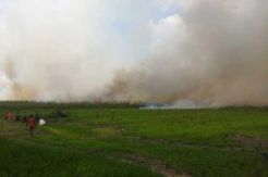 Pemkab Banyuasin Tegur Keras Perusahaan Pembakar Lahan