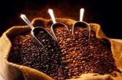 Bekraf Promosikan Kopi...