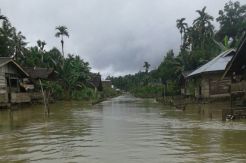 213 Rumah di Mentawai Terendam Banjir
