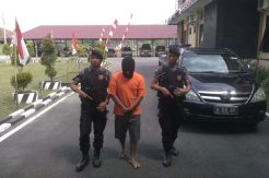 Sembunyi di Lokalisasi, Dua Pencuri Gabah Dibekuk Polisi