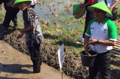 Moeldoko Komitmen Dorong Kesejahteraan Petani
