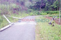 Tiang Listrik Roboh Ditabrak Truk, Satu Desa di Banyuasin Gelap