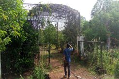 Dulu Primadona, Sekarang Kebun PKK Ini Tinggal Nama