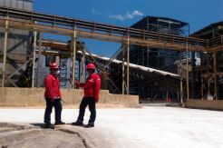 PLN Tanjung Jati B Komitmen Konservasi Lingkungan Sekitar