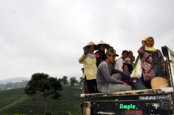 Menikmati Jaringan Telkomsel di Lereng Gunung Lawu