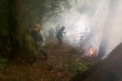 Hutan di Kaki Gunung Burangrang Terbakar, Diduga Ulah Pendaki
