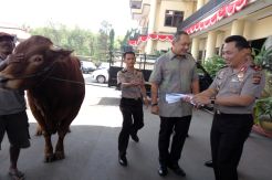 MNC Peduli Berikan Hewan Kurban ke Polda Banten