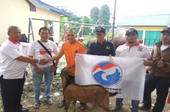 Partai Perindo Serahkan Hewan Kurban untuk Warga Ciputat Timur