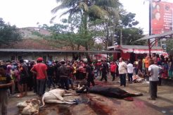 PDIP Jabar Berharap Idul Adha Jadi Momentum Korbankan Ego