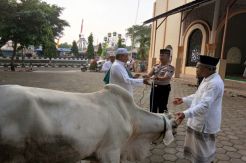 Ibadah Kurban Jadi Penyemangat...