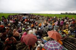 PBB: 80 Ribu Muslim...