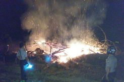 16 Hektare Kebun Karet di Jambi Dibakar Warga