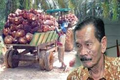 KLHK Considered Unfair for Action Land in Register 40