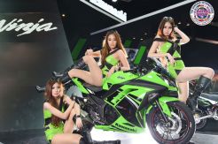 Kawasaki Ninja 250 Terbaru Disinyalir Didorong Mesin 4 Silinder