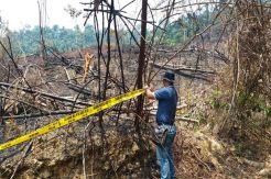 Bakar Hutan, Warga Bungo Diringkus Polisi