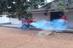 Lapor Dua Warga Kena DBD, Rescue Perindo DIY Gelar Fogging