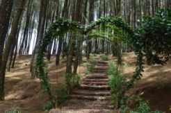 Target 800.000 Wisatawan ke DIY Cukup Berat